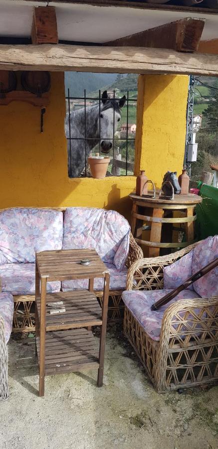 La Hacienda Del Campo Apartment Potes Exterior photo