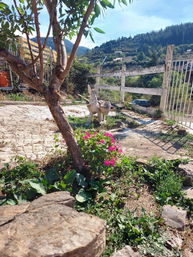 La Hacienda Del Campo Apartment Potes Exterior photo